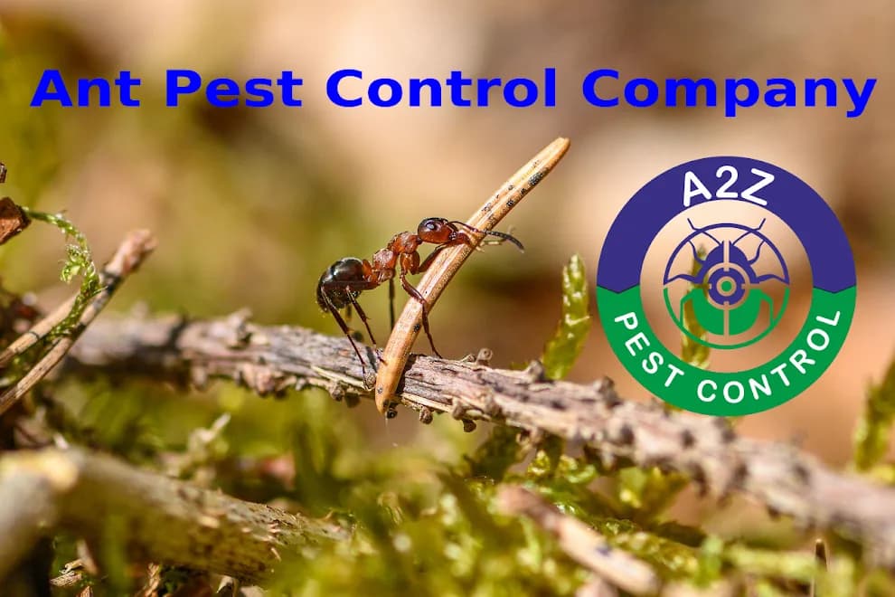 A2Z Pest Control