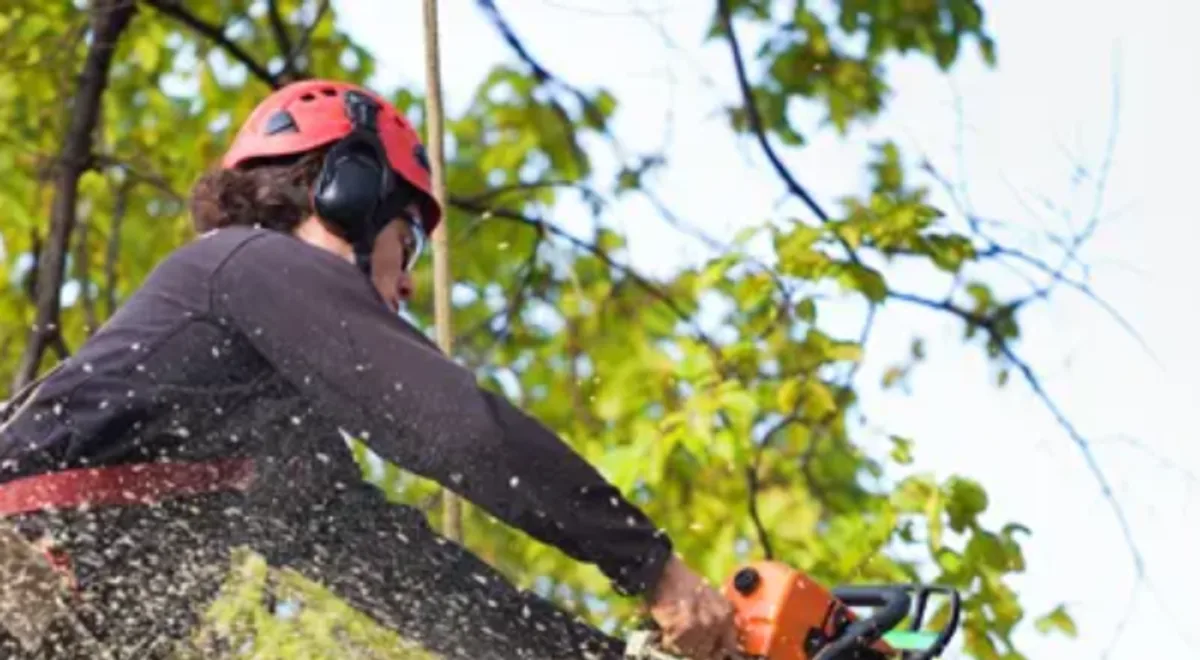 Advanced Tree Solutions