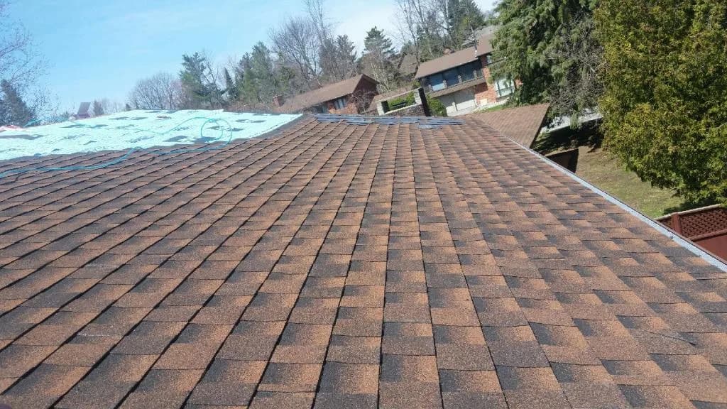 Century Roofing and Siding Ltd.