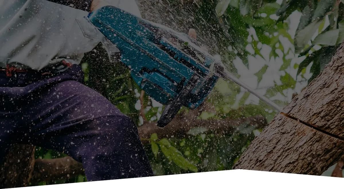 Croft Tree Experts