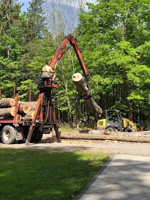 Fisher Tree Services