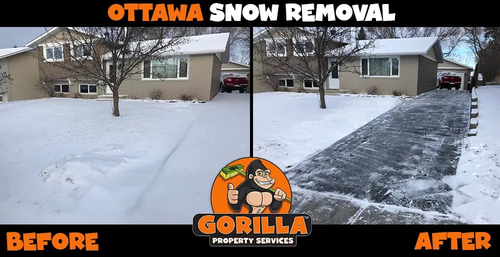 Gorilla Property Services