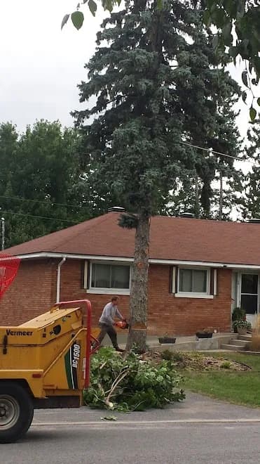 Greely Tree Services