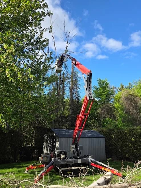 Green Thumb Tree Specialists