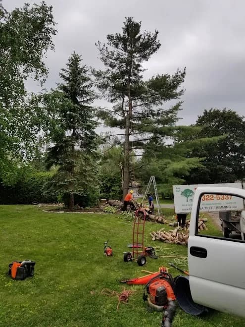 Ottawa Tree Trimming
