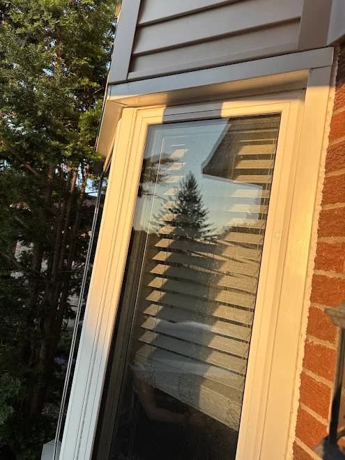 True Vision Exterior Cleaning & Repairs