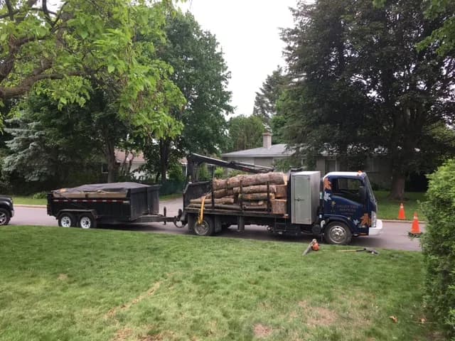 Valley Tree Services
