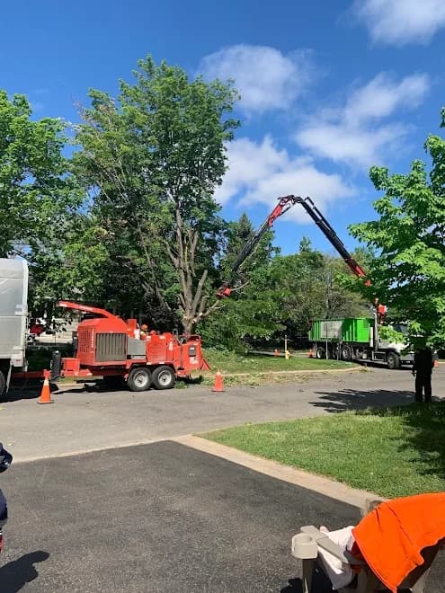 Wright Tree Service