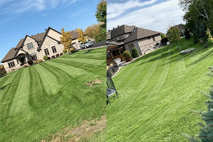Capital Yardworks Inc