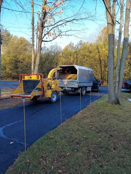 Max's Tree Services