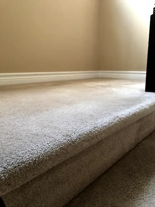 Quality Carpet Cleaners