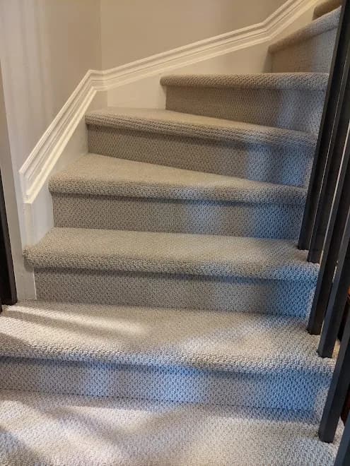 Quick Dry Carpet Care
