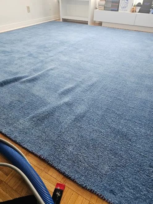 The Carpet Cavalry